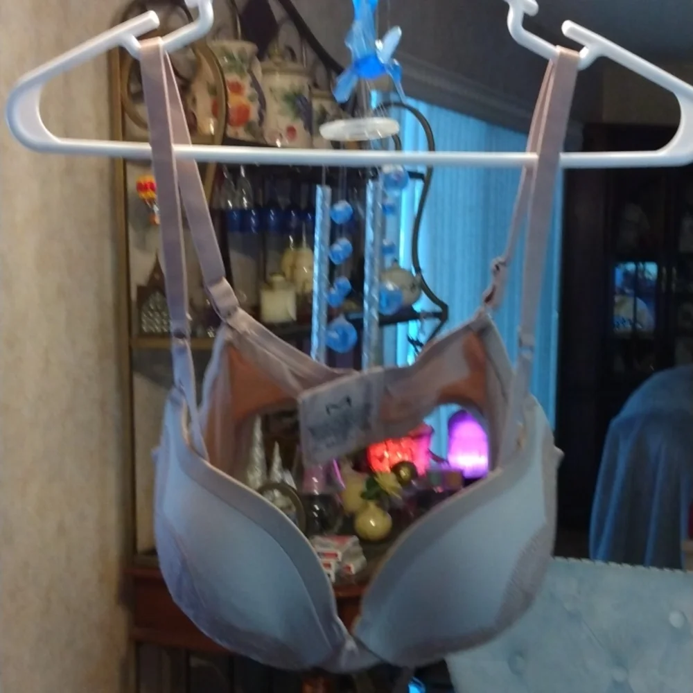 Maidenform Bra. 38C